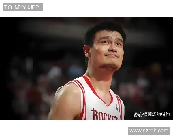 江苏姚明成：从篮球巨星到商业领袖的传奇人生与影响力探讨
